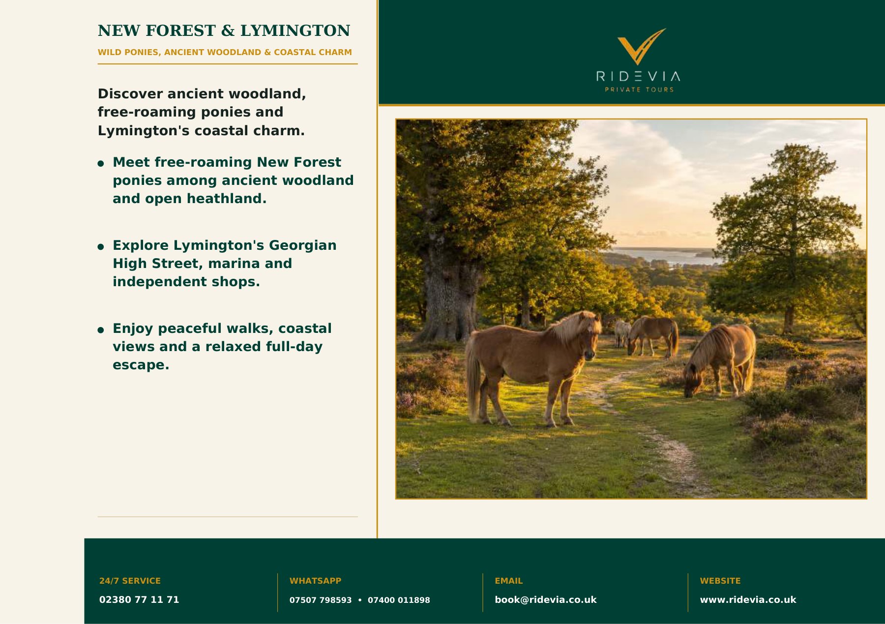 New Forest photograph from the Ridevia travel booklet
